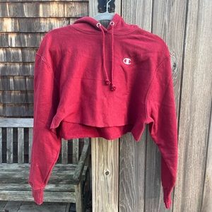 XS Cropped Champion Reverse Weave Hoodie